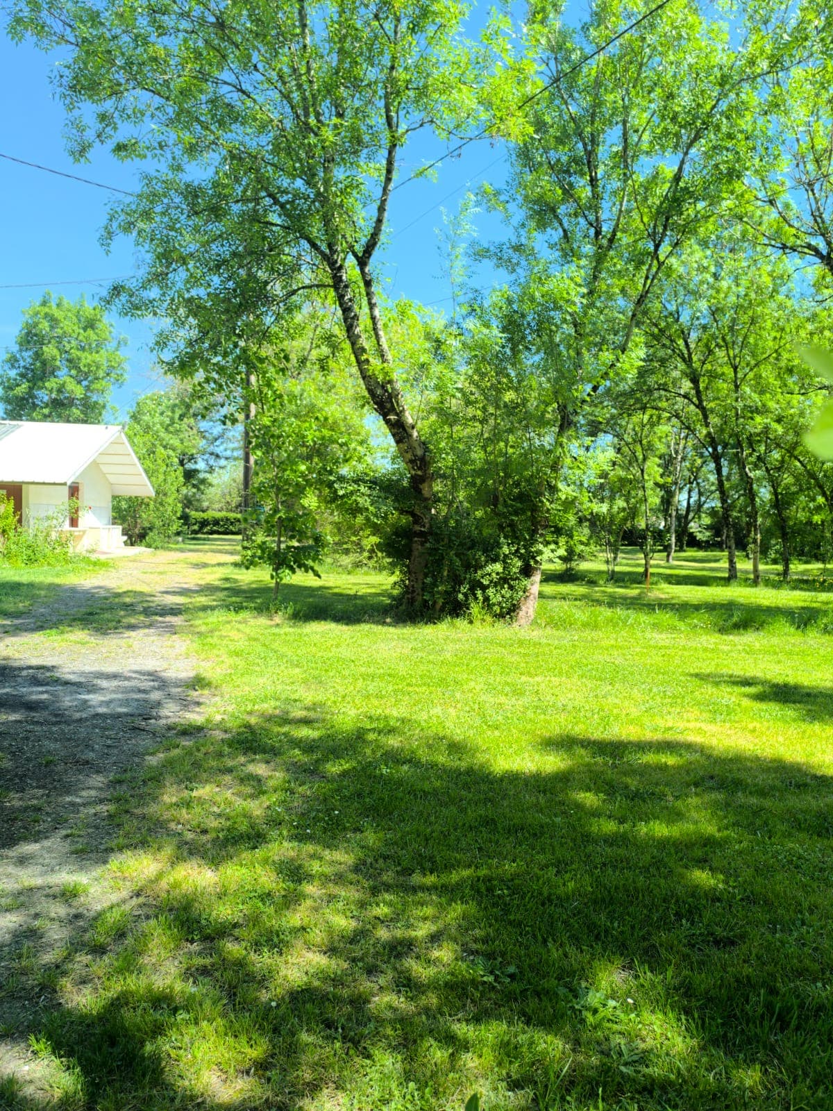 Domaine verdoyant du camping, grands arbres et gazon