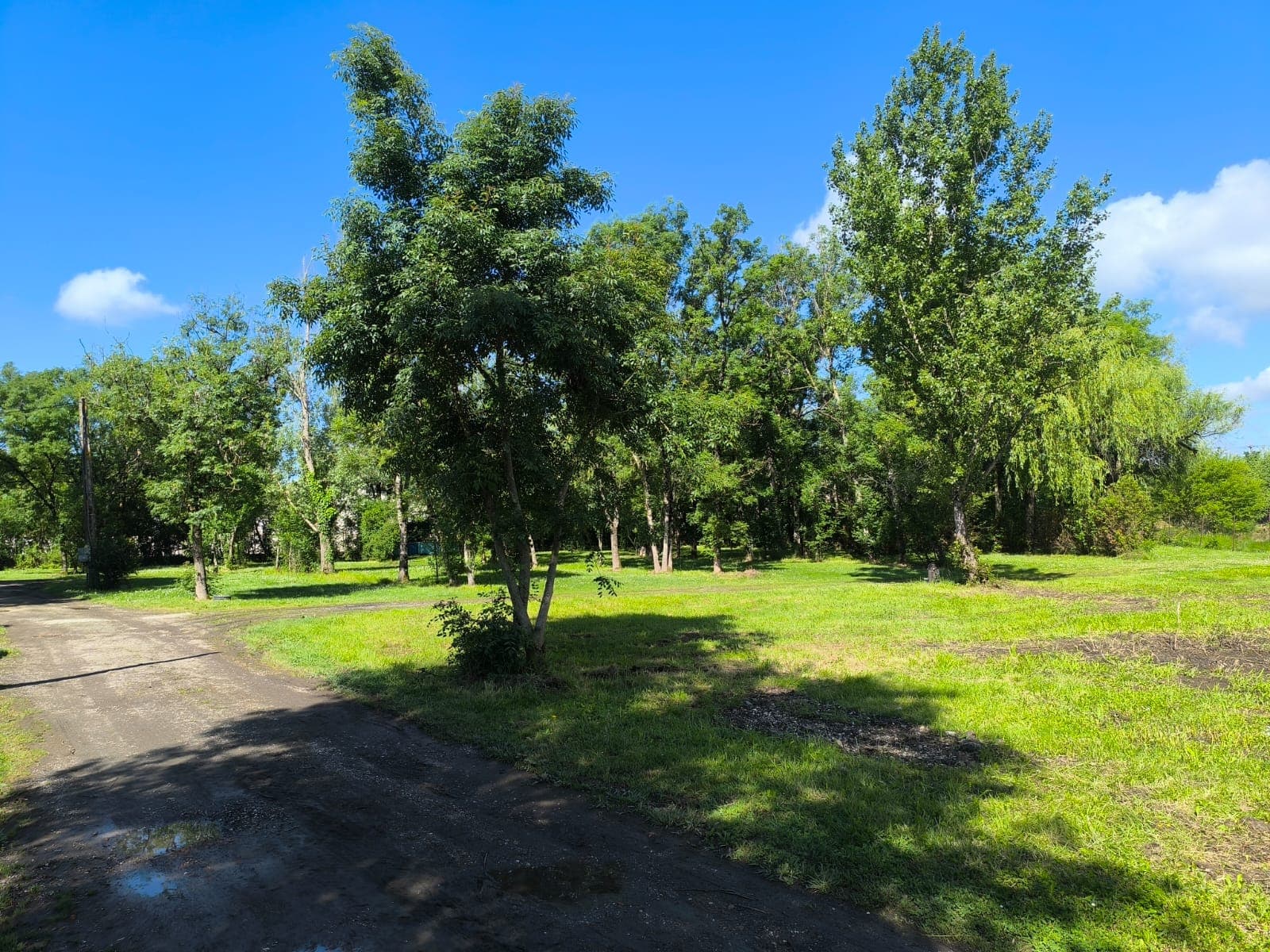 Vue sur le domaine du camping, allée et grands arbres