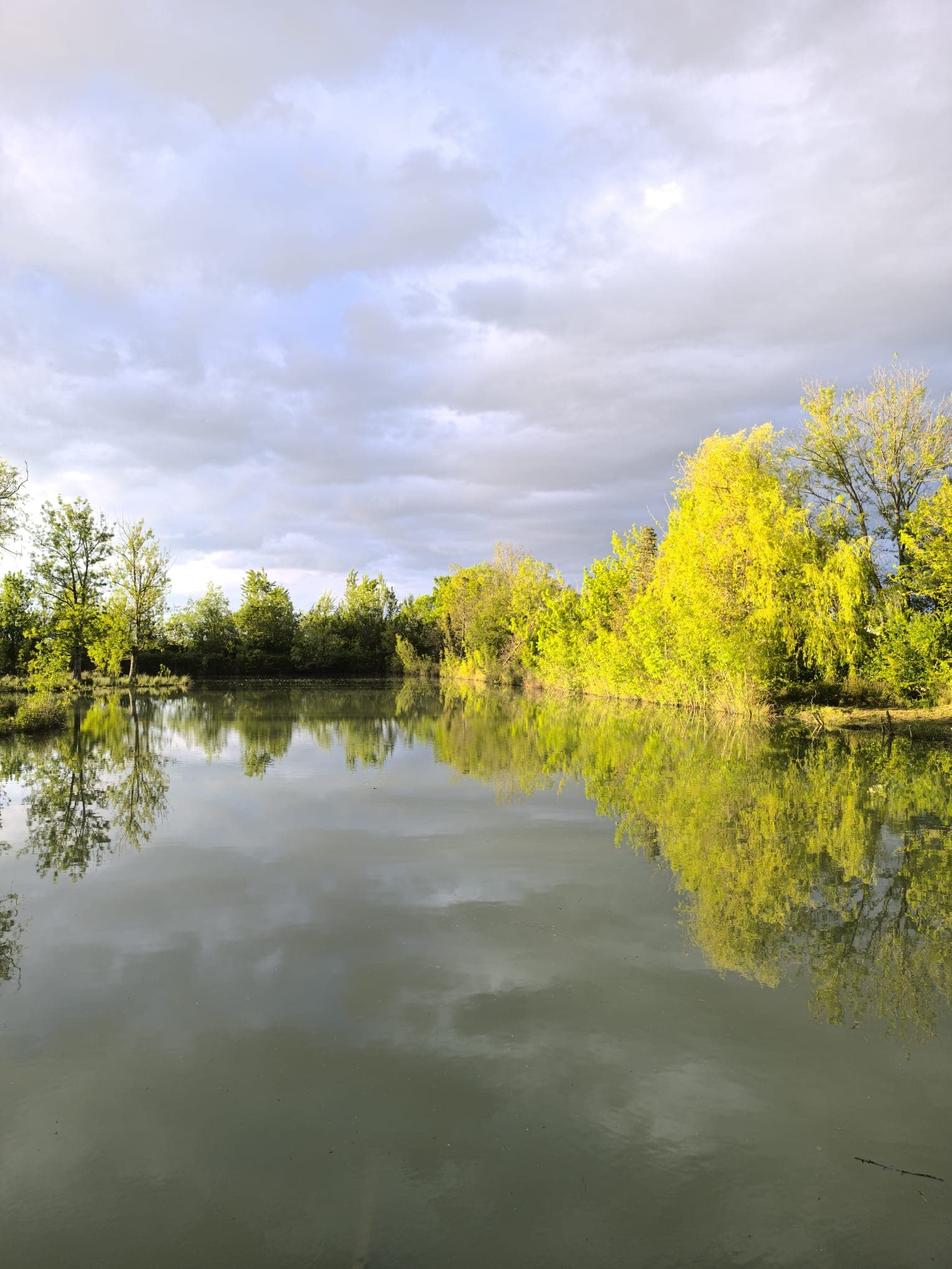 Lac du camping, reflets des arbres sur l'eau, ciel nuageux